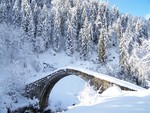Winter Bridge