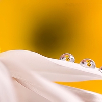 Drops on white Flower