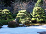 Japanese Garden Seattle