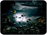 Sunflowers at Night
