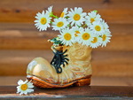 Daisies in boot