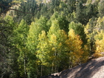 Colorado Fall
