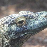 Waiting for lunch....