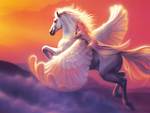 My Pegasus