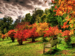 Autumn-HDR