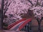 red blossom bridge