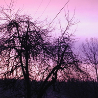 3am In Alaska in June