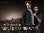 Breaking Dawn 11-18-11