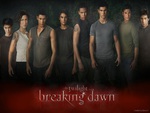 The Gang Is All Here {Breaking Dawn}
