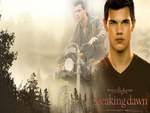 JACOB BLACK {Breaking Dawn}