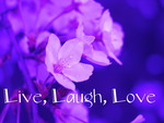 Live, Laugh, Love