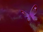 Purple Butterfly