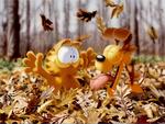 Autumn Fun Time