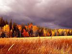 Stormy Fall Colors