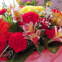 Bouquet of beautiful flowers