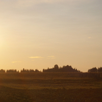 Hay early summer morning