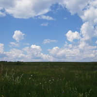 Field and the sky on a summer day