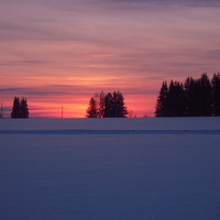 Winter sunset