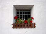 window