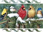 Cardinals and Friends - Birds F2
