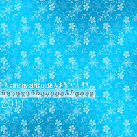 Girlshygirlguide Wallpaper