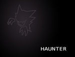 Haunter the Gas Pokemon