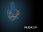 Mudkip the Mud Fish Pokemon