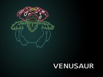 Venusaur the Seed Pokemon