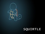 Squirtle the Tiny Turtle Pokemon