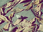Butterfly and leaf