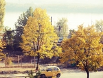 Beautiful Autumn/Yellow