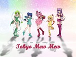 We are the Mew Mews!