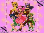 Tokyo Mew Mew Power!