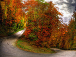 Autumn-HDR