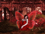 Red Fairy