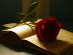Open book of love