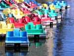 Paddle Boats