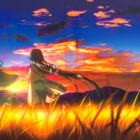 Beauty of the sunset