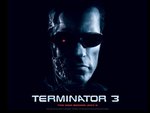 terminator 3