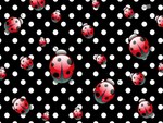 Ladybug Ladybug