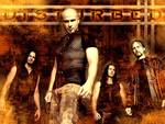 disturbed