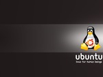 Dark Ubuntu Tux