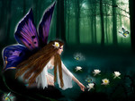 Flower Fairy