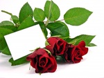 Red Rose With Gift Card