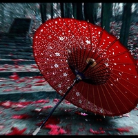 Japanese Umbrella