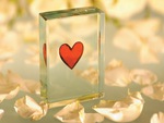 Glass â™¥ Heart