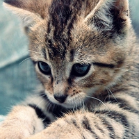 Happy Birthday, Margarita â™¡