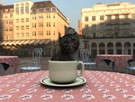 Cup of Kitten