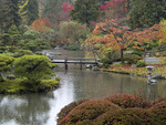 Zen Autumn Garden