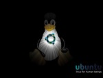 Tux Redifined
